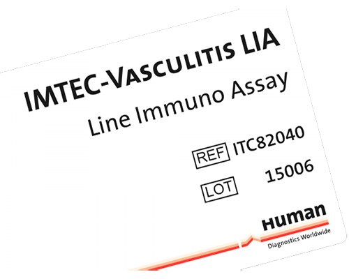 IMTEC Vasculitis LIA, 24 pruebas